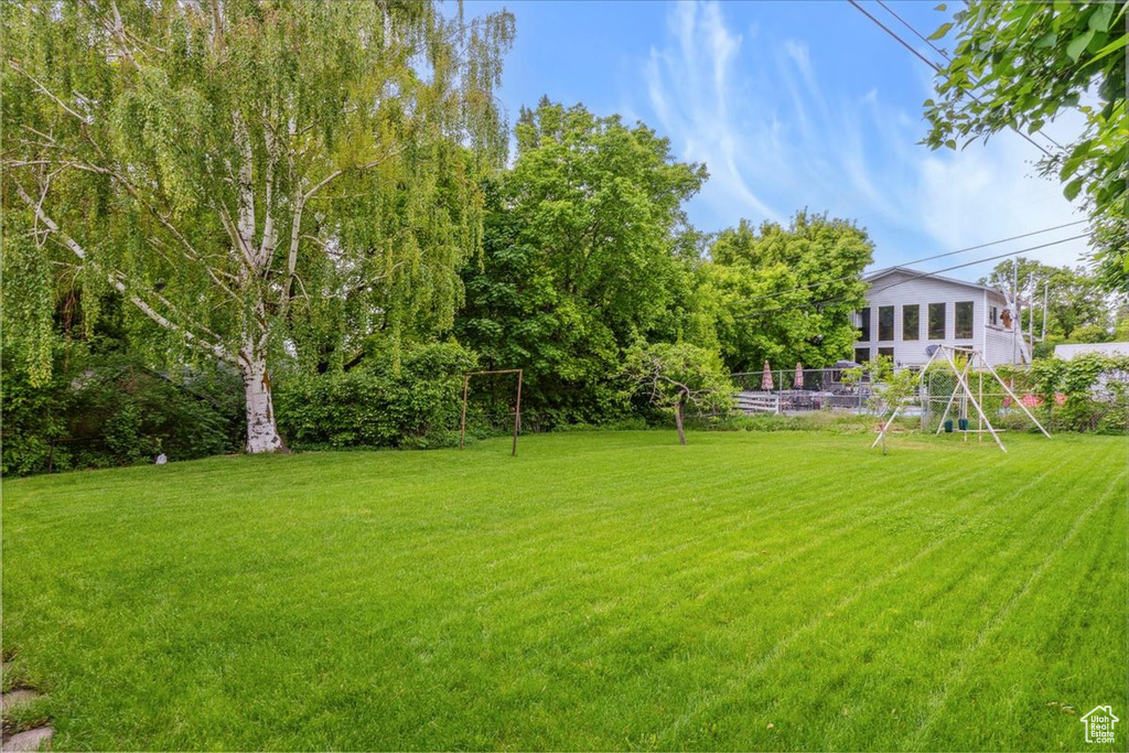 View of grassy yard