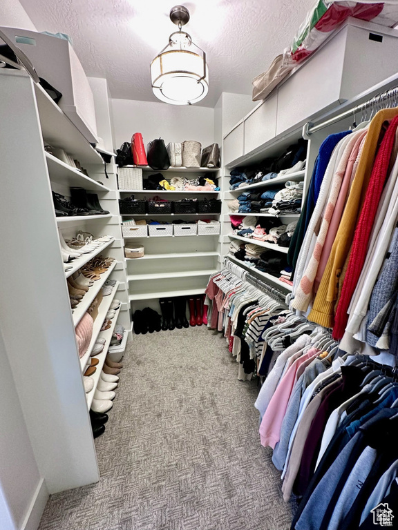 Walk in closet featuring carpet