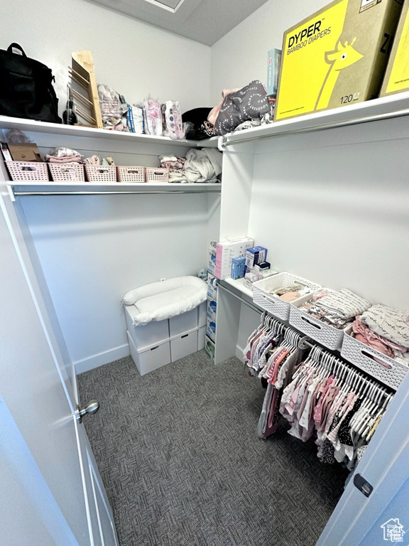 Walk in closet with carpet floors