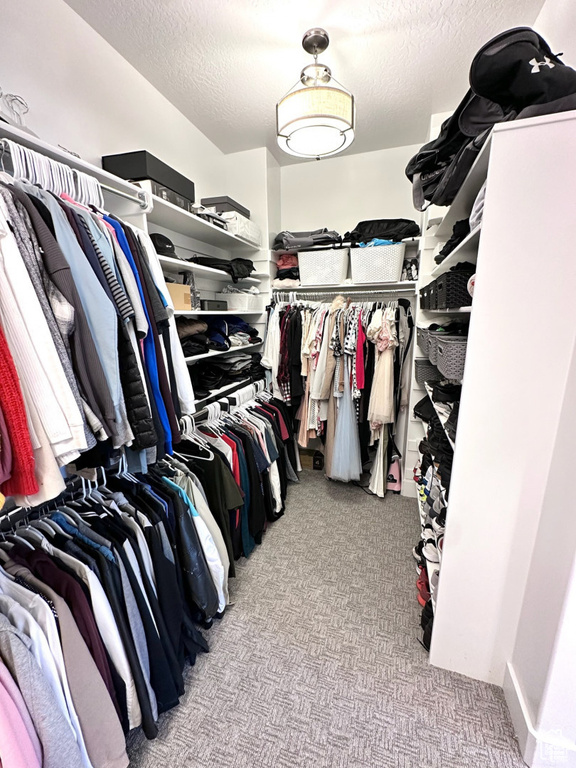 Spacious closet with carpet flooring