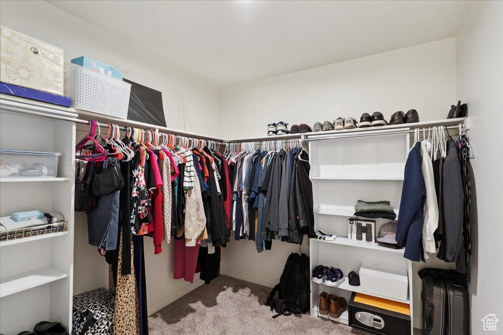 Walk in closet with carpet floors