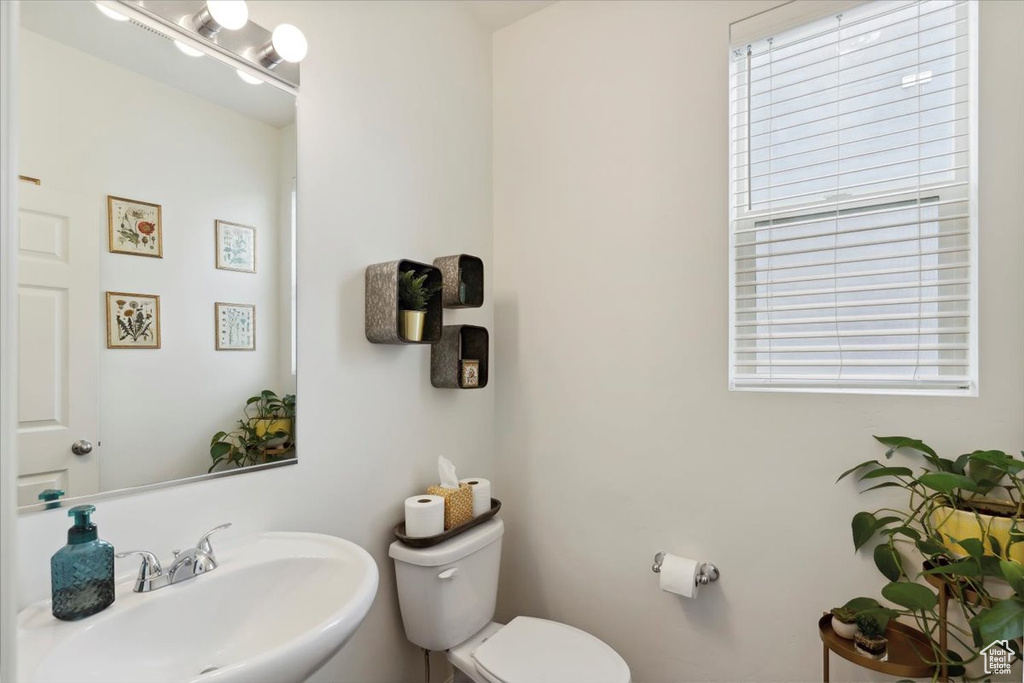 Half bathroom with a sink, toilet, and healthy amount of natural light