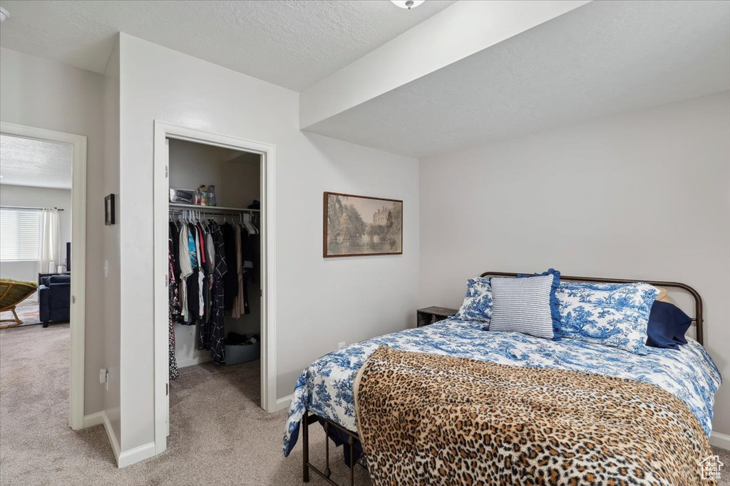 Carpeted bedroom featuring a spacious closet, a closet, and baseboards