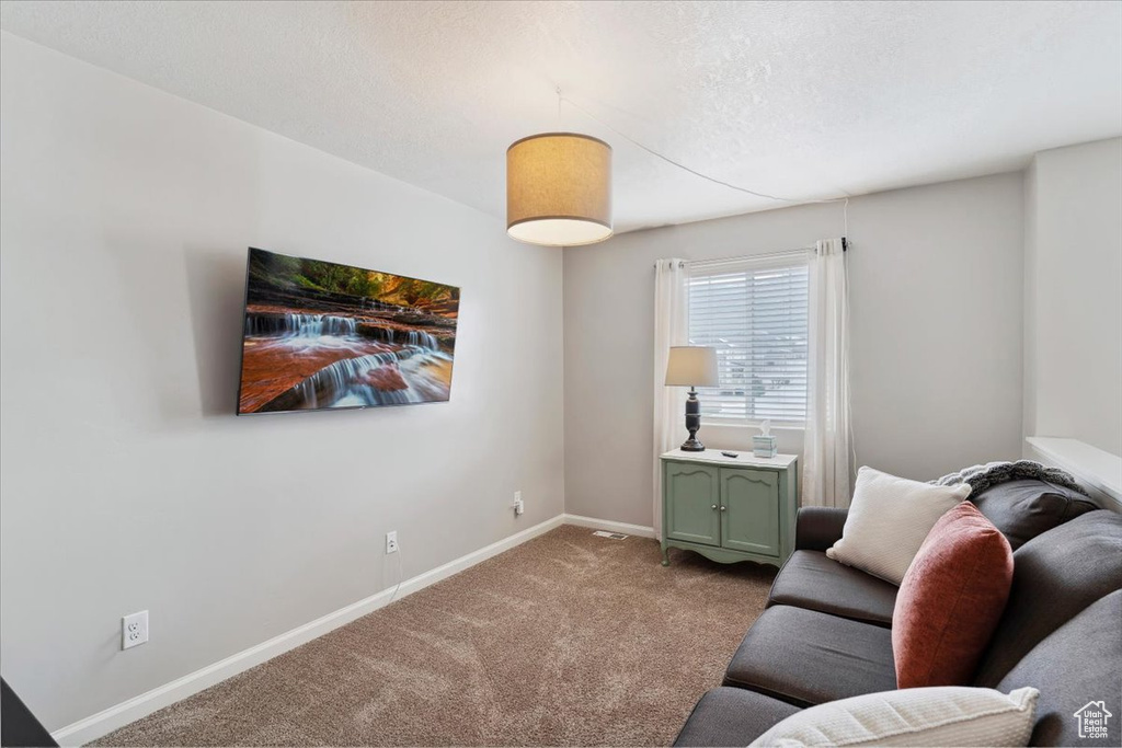 Carpeted living area with baseboards and a textured ceiling
