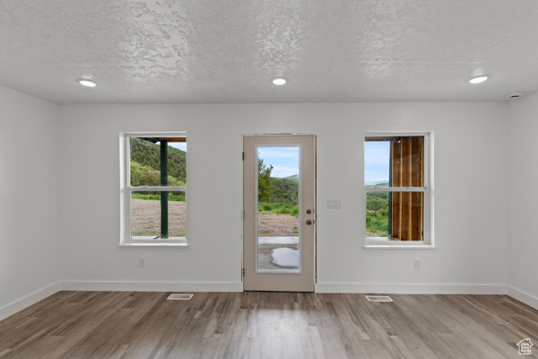 Foyer featuring plenty of natural light, wood finished floors, a textured ceiling, baseboards, and recessed lighting