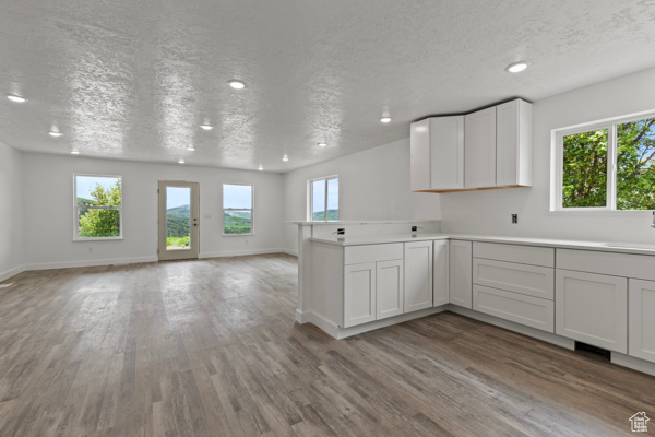 Kitchen with wood finished floors, open floor plan, recessed lighting, a peninsula, and a textured ceiling