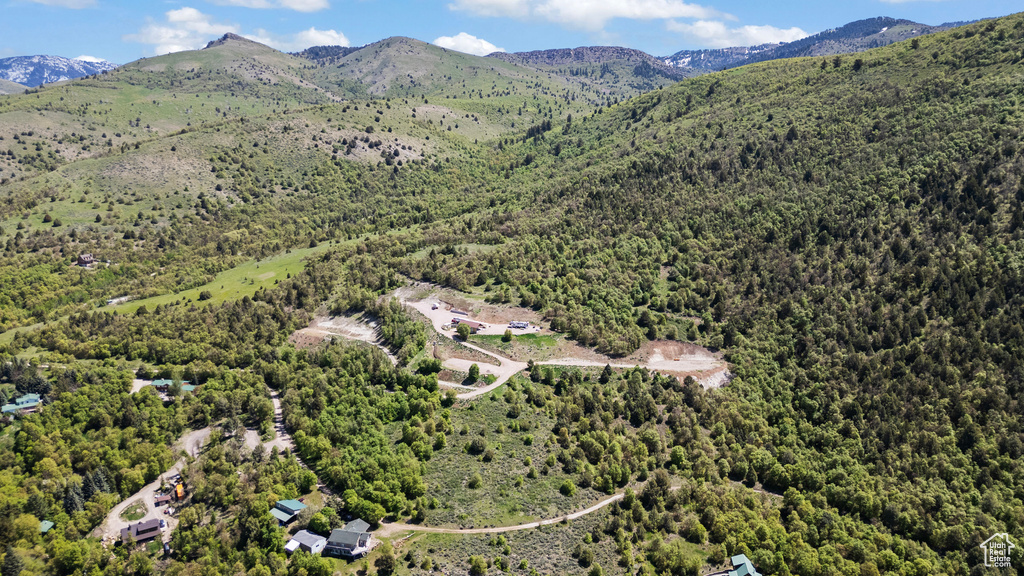 Drone / aerial view of a forest and a mountainous background