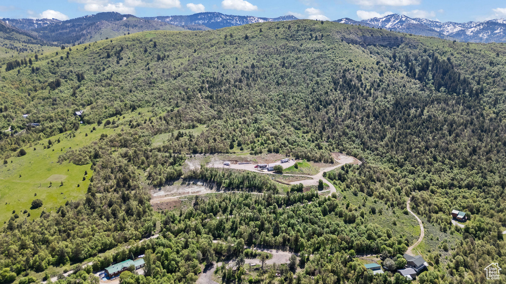 Aerial overview of property\'s location featuring a heavily wooded area and a mountain backdrop