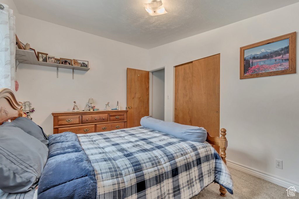Carpeted bedroom with a closet and baseboards