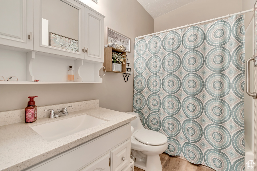 Bathroom featuring wood finished floors, toilet, vanity, and a shower with curtain