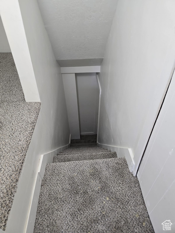 View of stairway