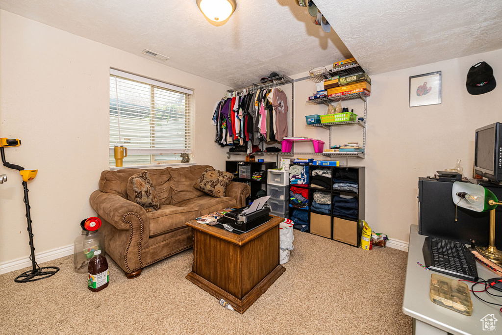 Carpeted living area featuring baseboards and a textured ceiling