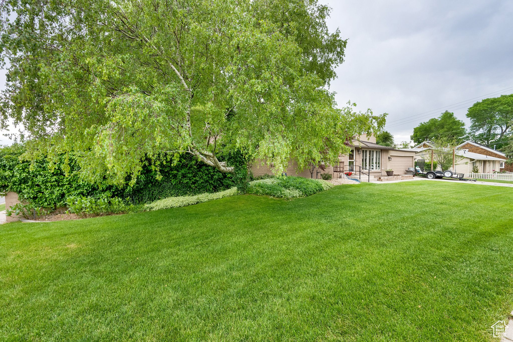 View of grassy yard