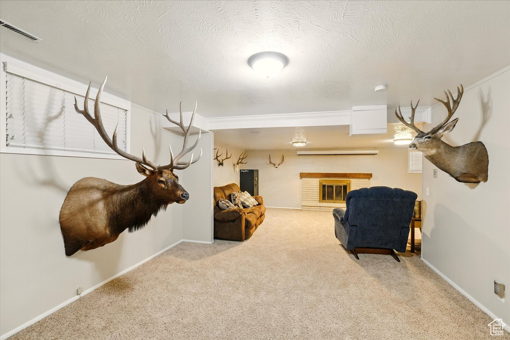 Living area with carpet flooring, baseboards, and a textured ceiling