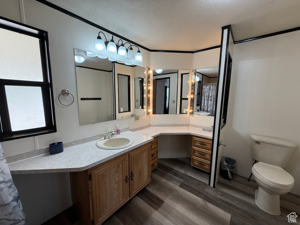 Full bathroom featuring a textured ceiling, wood finished floors, vanity, and toilet
