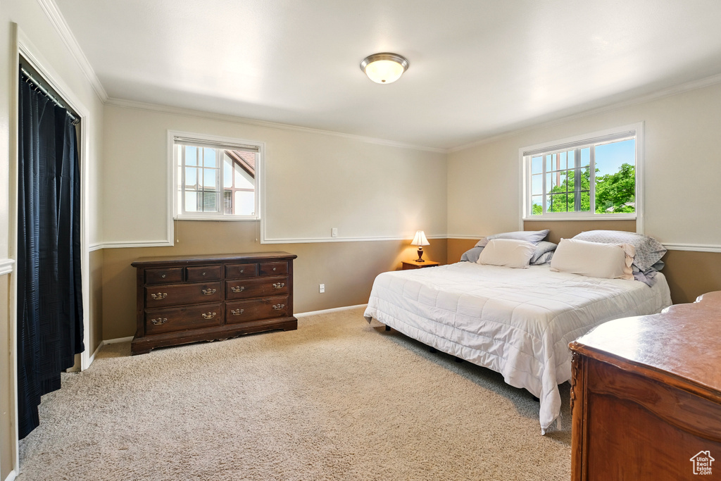 Bedroom with crown molding, carpet floors, and baseboards