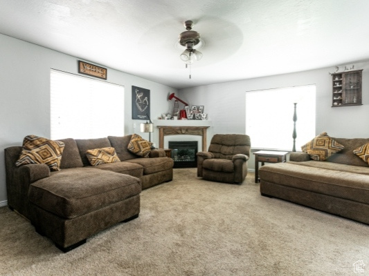 Carpeted living room featuring a ceiling fan and a glass covered fireplace