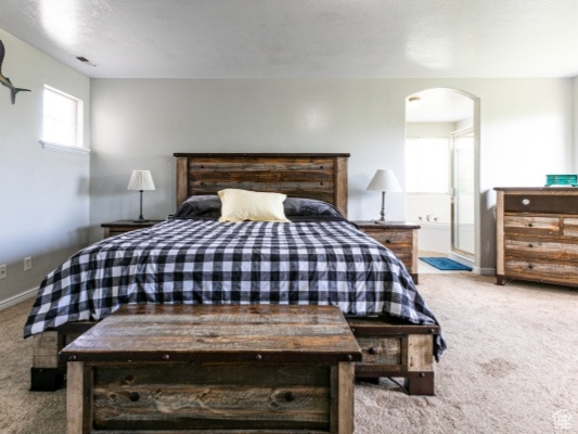 Carpeted bedroom with arched walkways and baseboards