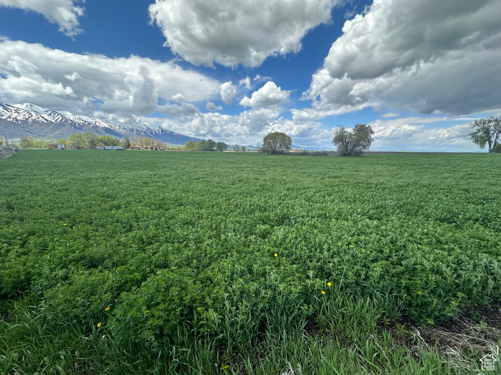 View of grassy yard featuring a mountain view and a view of countryside