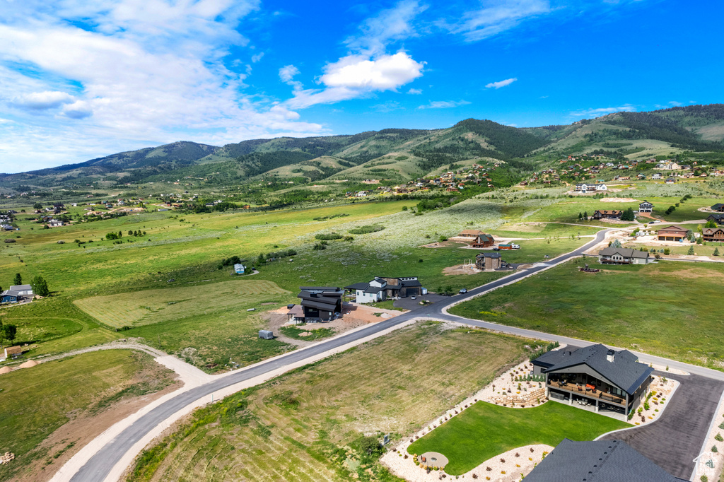 Aerial view of sparsely populated area with a mountain backdrop