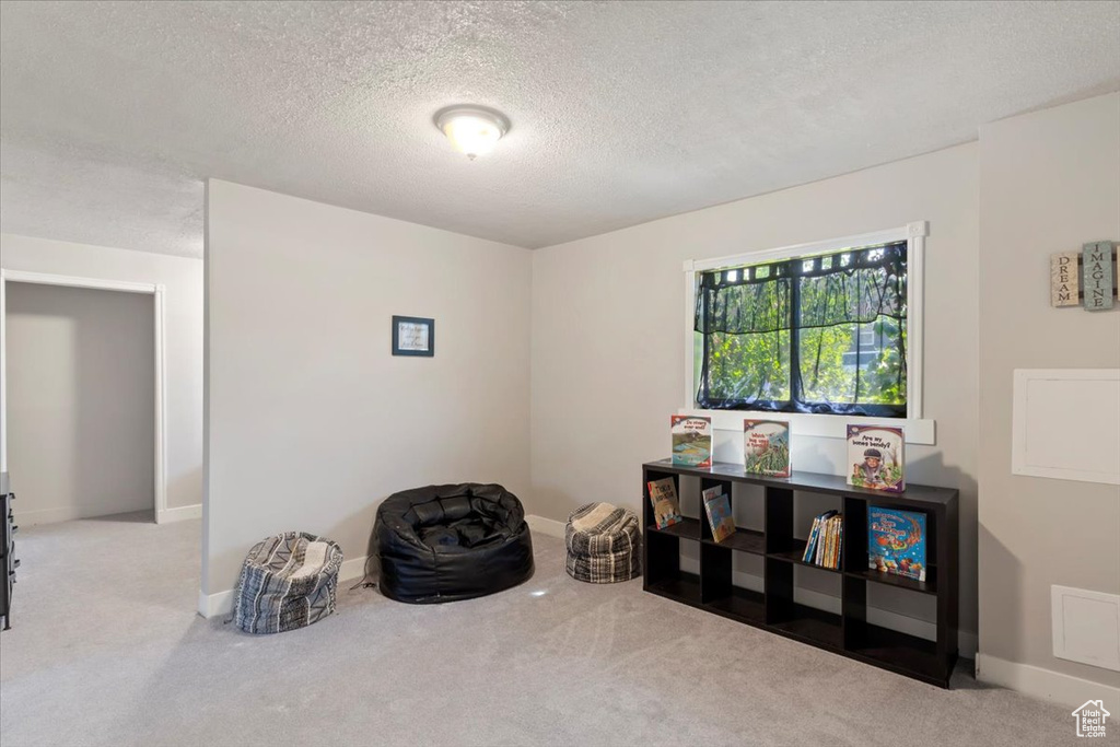 Miscellaneous room with carpet floors, a textured ceiling, and baseboards