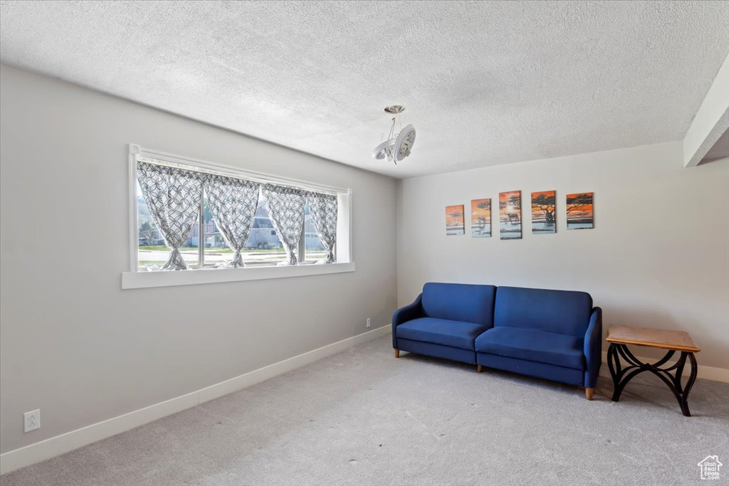 Sitting room with carpet, baseboards, and a textured ceiling