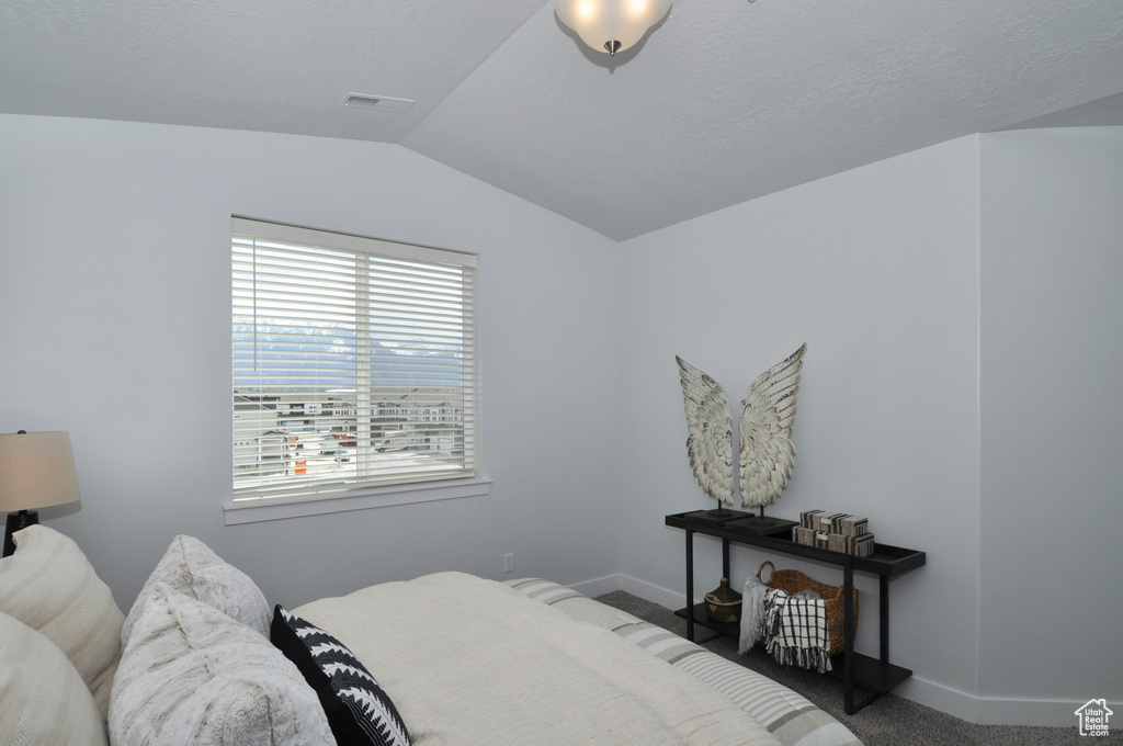 Bedroom featuring vaulted ceiling, carpet, and baseboards