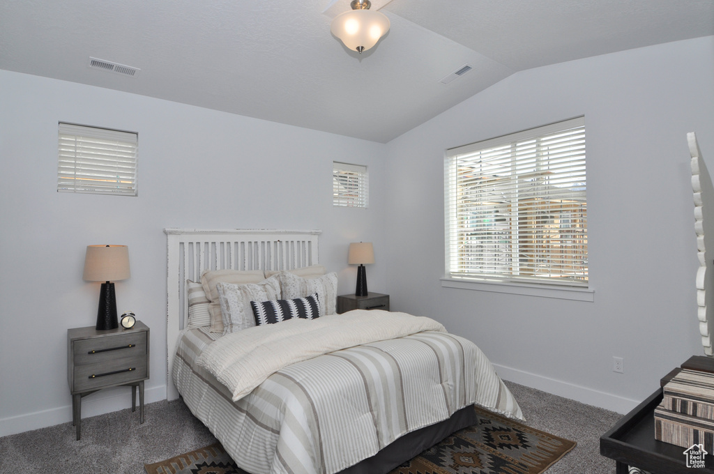 Bedroom featuring vaulted ceiling, multiple windows, carpet floors, and baseboards