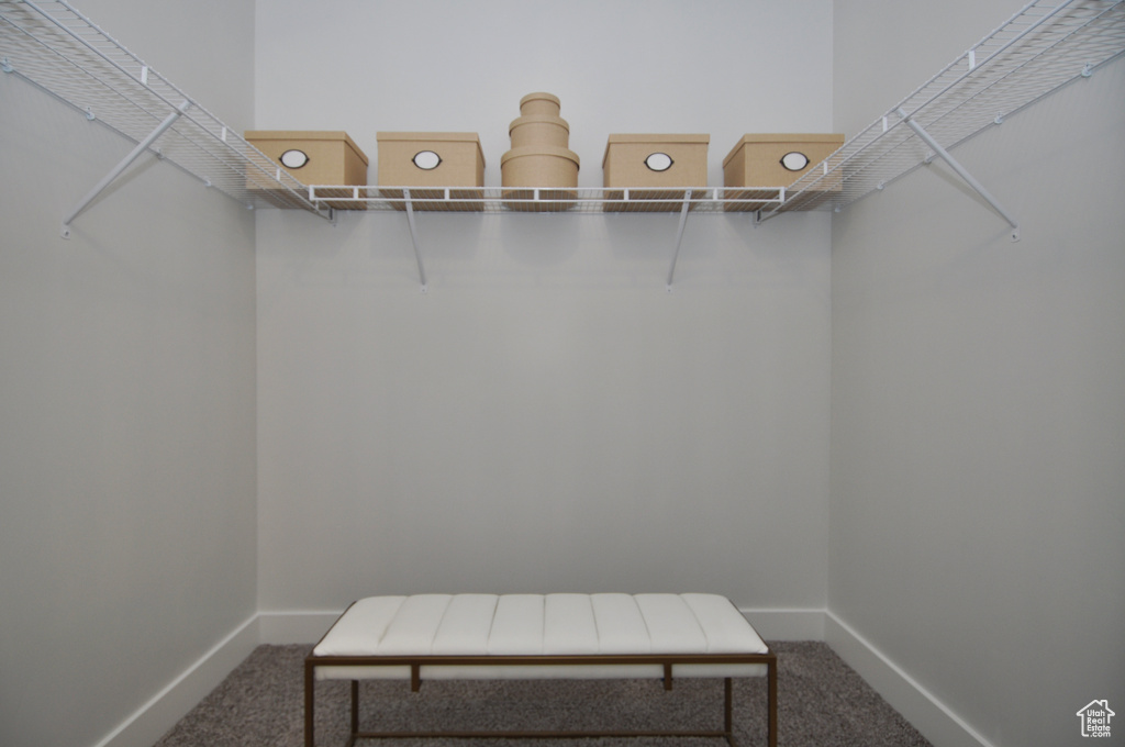 Walk in closet with carpet flooring