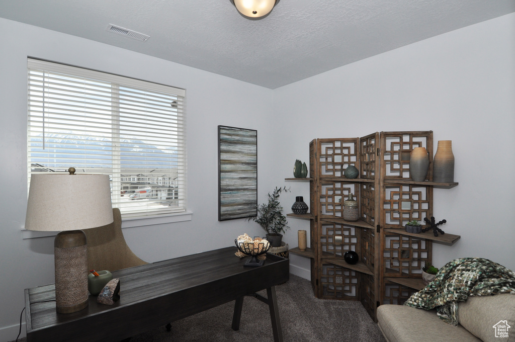 Office area with carpet floors