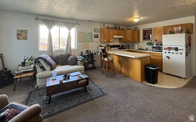 Kitchen with a textured ceiling, a peninsula, range, and freestanding refrigerator