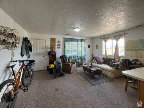 Carpeted living room featuring a textured ceiling