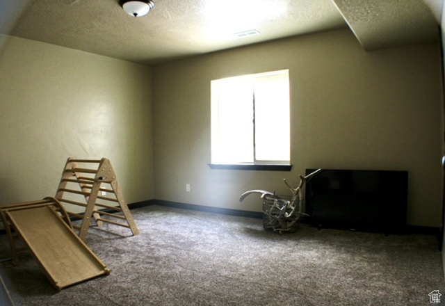 Interior space featuring carpet flooring, a textured ceiling, and baseboards