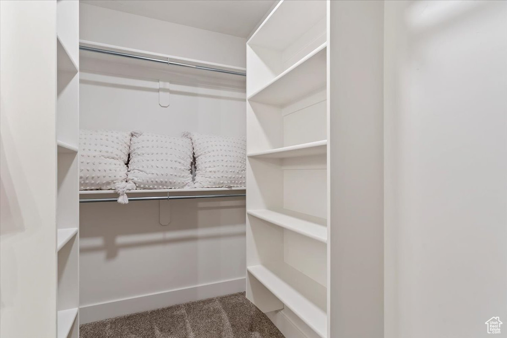 Spacious closet with carpet