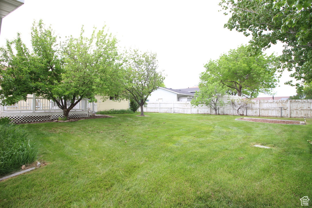 View of yard featuring a wooden deck