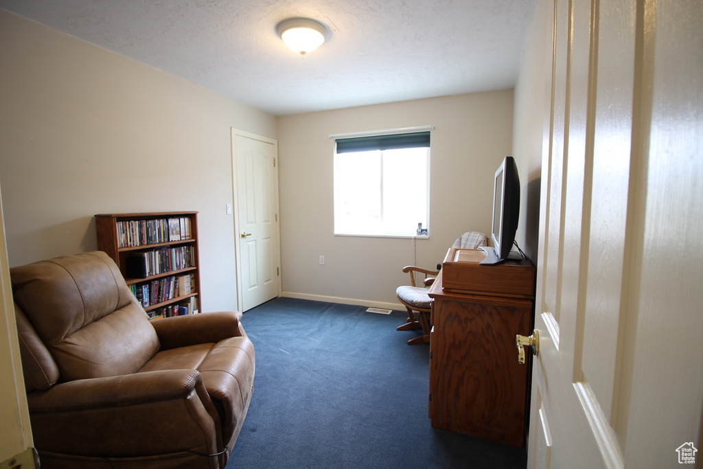 Living area with dark carpet and baseboards