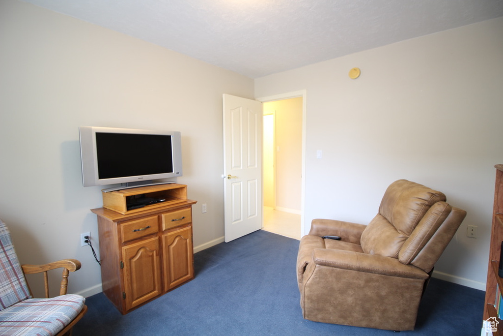 Sitting room with dark carpet and baseboards