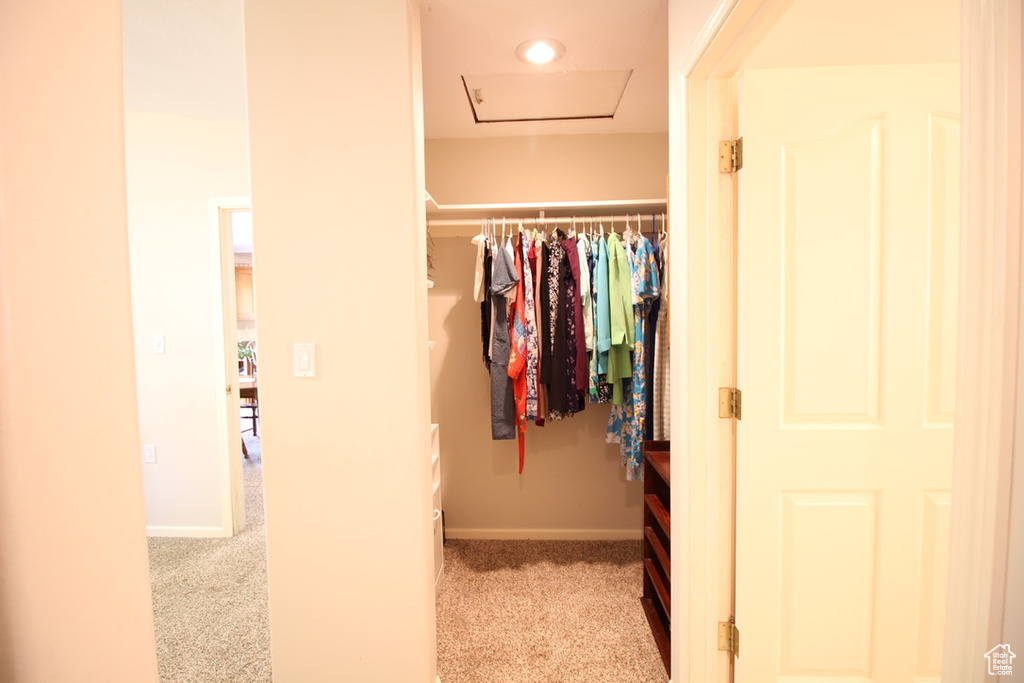 Spacious closet featuring carpet and attic access