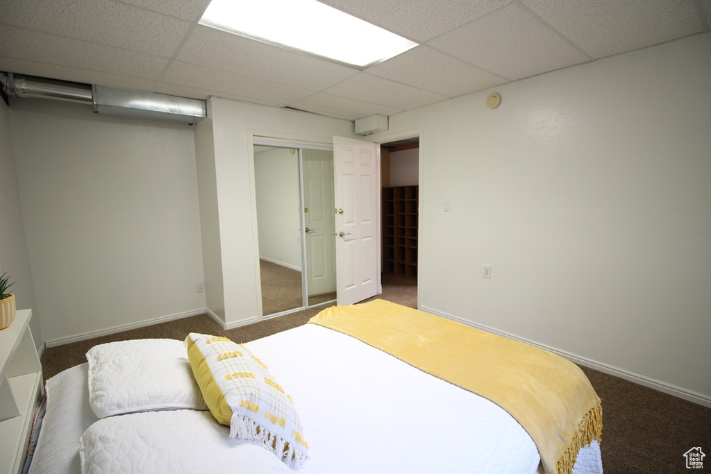 Bedroom with carpet floors, a paneled ceiling, a closet, and baseboards