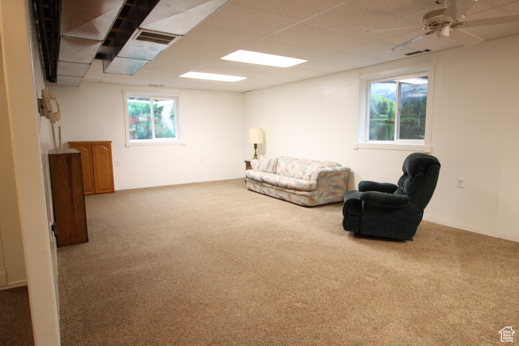 Living area with carpet, a paneled ceiling, and ceiling fan