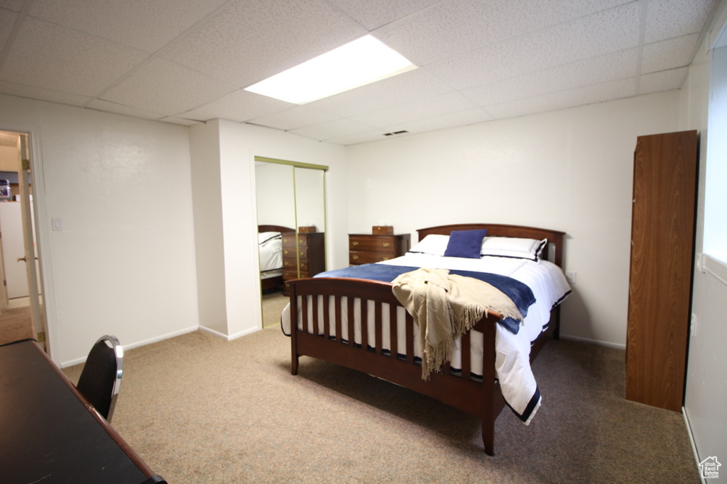Carpeted bedroom with a drop ceiling, a closet, and baseboards