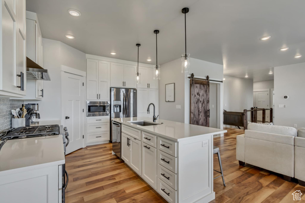 Kitchen with a sink, a barn door, stainless steel appliances, exhaust hood, and light wood finished floors