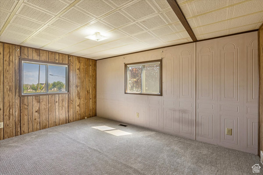 Carpeted empty room featuring healthy amount of natural light and wooden walls