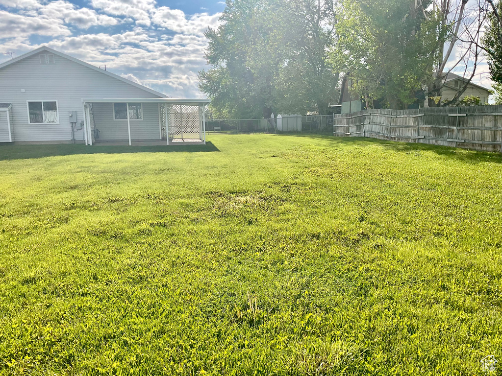 View of yard