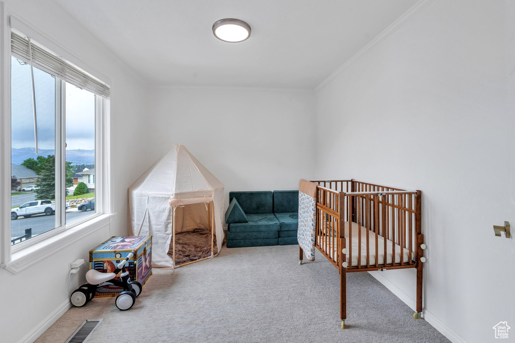 Carpeted bedroom featuring multiple windows, ornamental molding, baseboards, a nursery area, and a mountain view