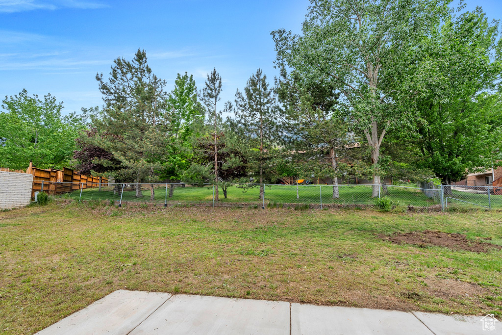 View of yard