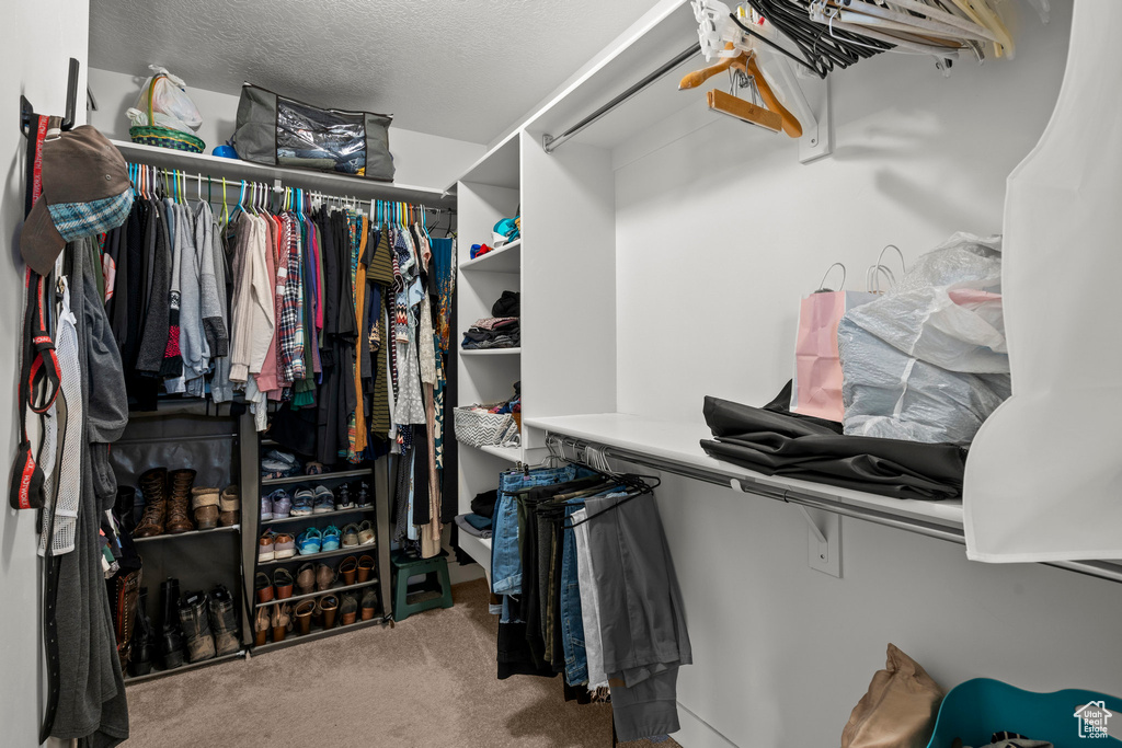 Walk in closet featuring carpet flooring