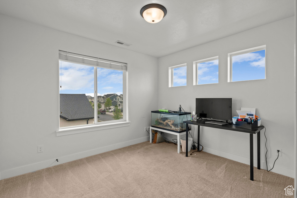 Office space featuring carpet floors and baseboards