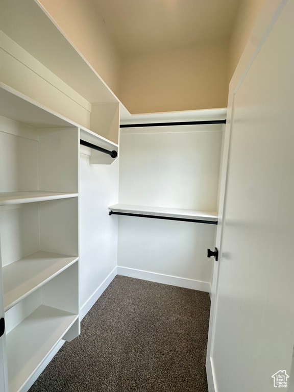 Walk in closet featuring dark carpet
