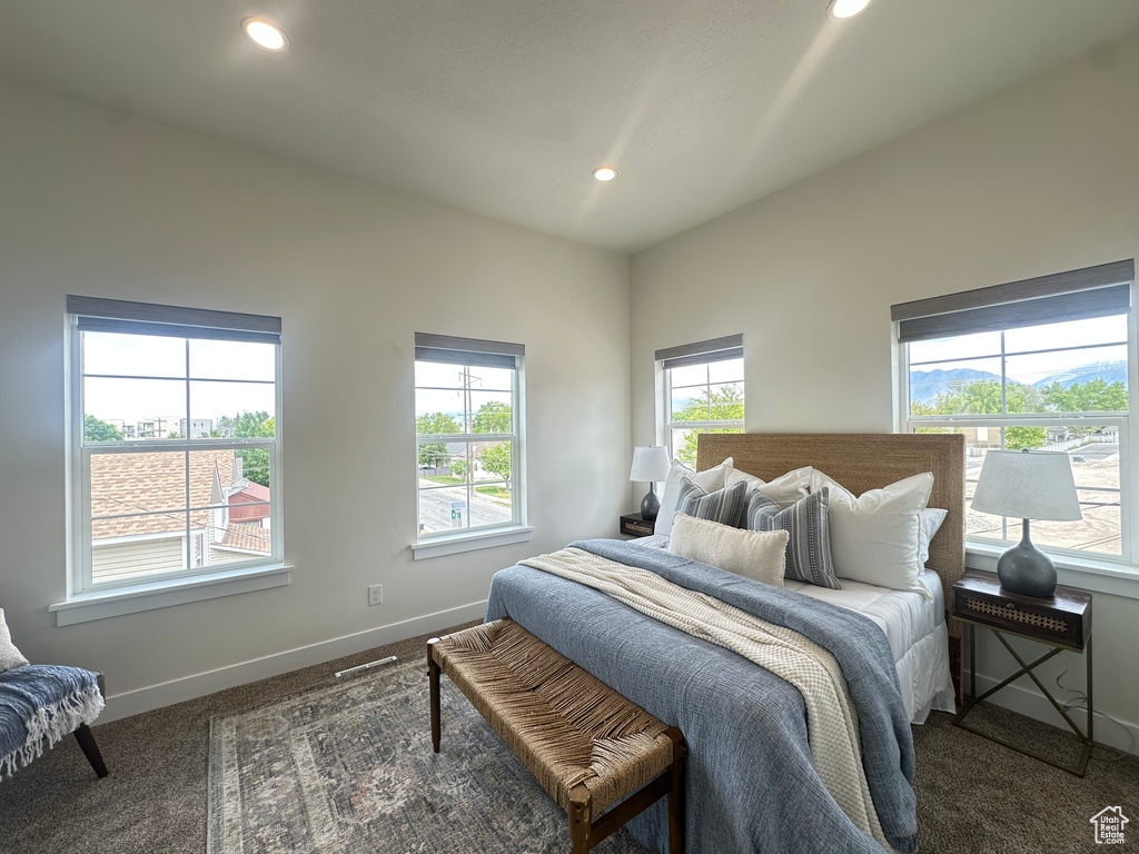Bedroom featuring carpet flooring, baseboards, and recessed lighting